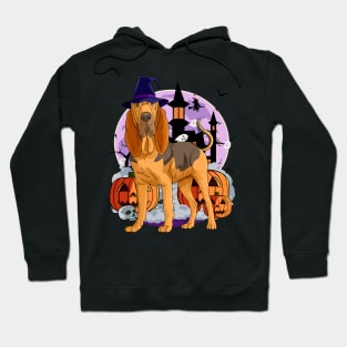 Bloodhound Dog Cute Witch Halloween Pumpkin Hoodie